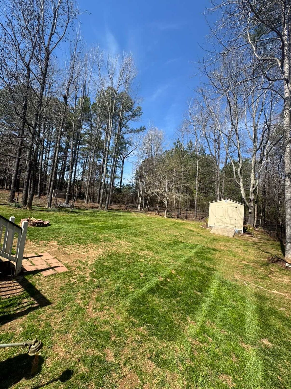 Premium Sod Installation